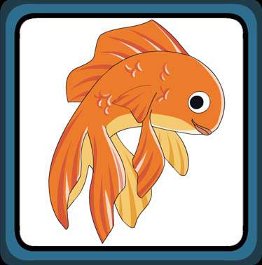 GM Goldfish GM Goldfish