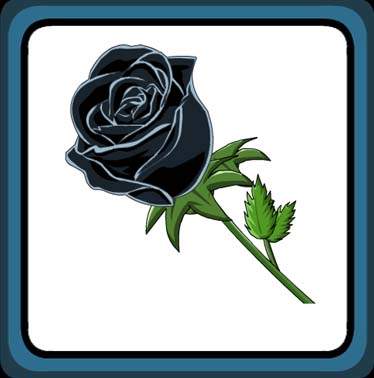 Black Rose